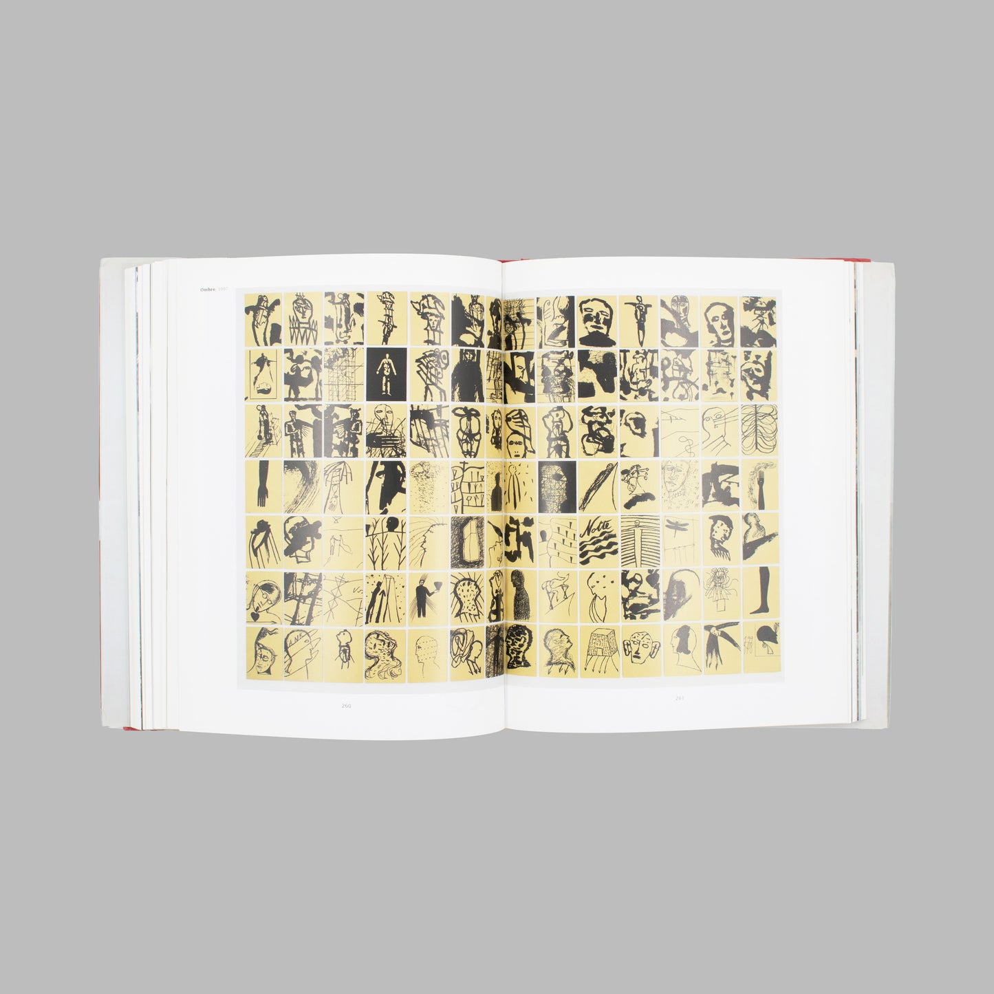Mimmo Paladino - Paladino - Una Monografia / A Monograph (2001)